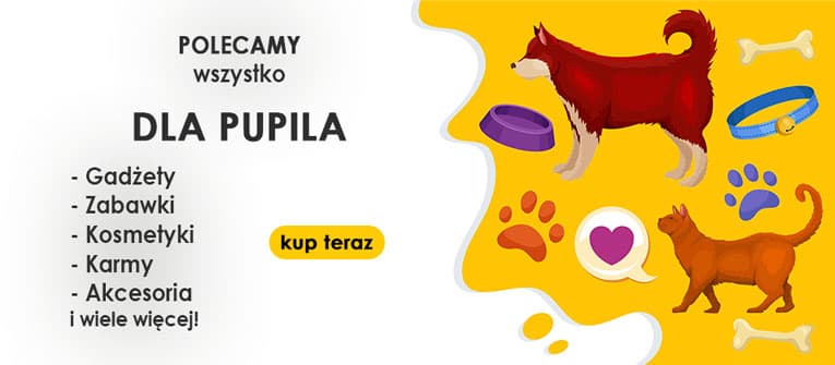 Znajdź najlepsze akcesoria dla swojego pupila!